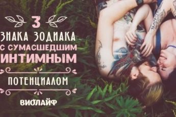 3-intim