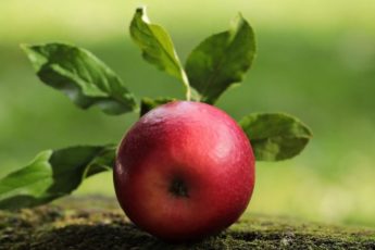 apple-2924531_960_720