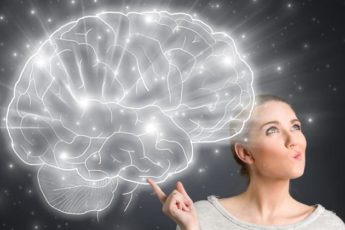 brain